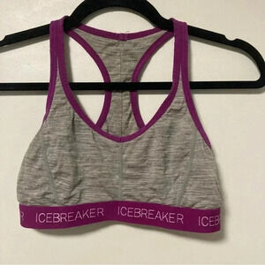 Icebreaker grey  purple merino wool bra size XS